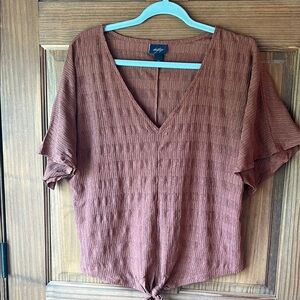 Daytrip Women's Brown V-Neck Blouse